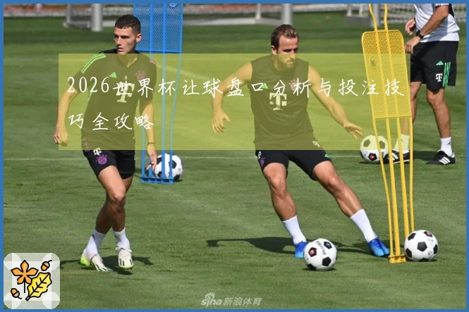 2026世界杯让球盘口分析与投注技巧全攻略