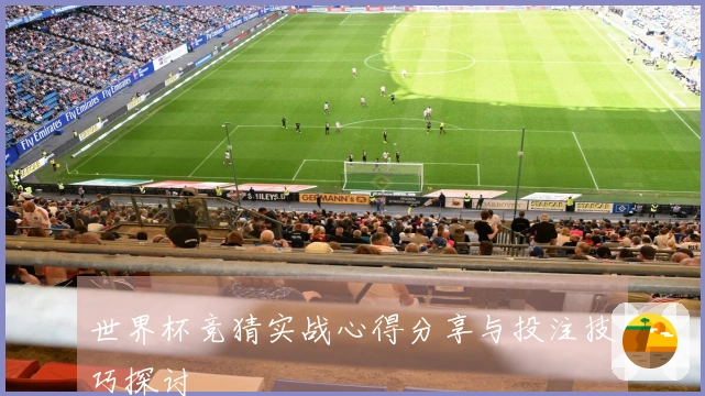 世界杯竞猜实战心得分享与投注技巧探讨