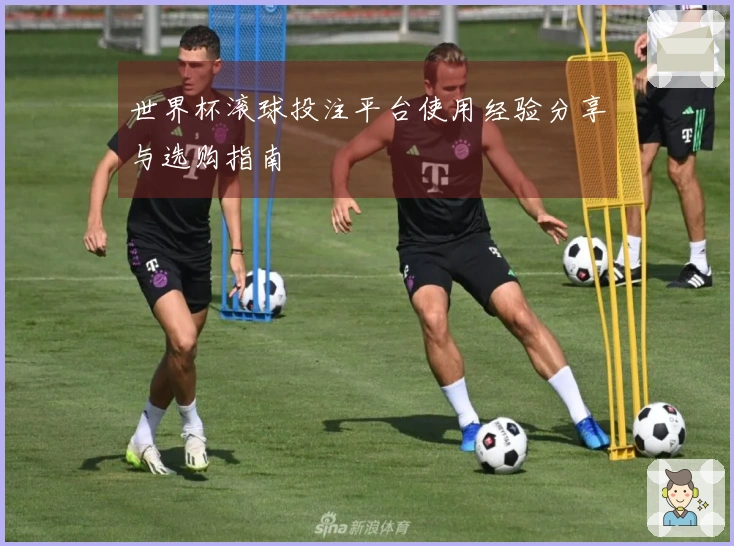 世界杯滚球投注平台使用经验分享与选购指南