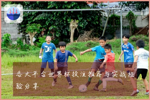 各大平台世界杯投注推荐与实战经验分享