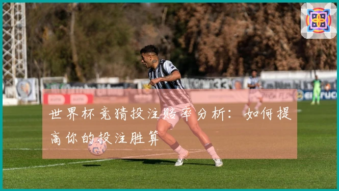 世界杯竞猜投注赔率分析：如何提高你的投注胜算