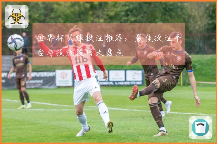世界杯买球投注推荐，最佳投注平台与投注技巧大盘点