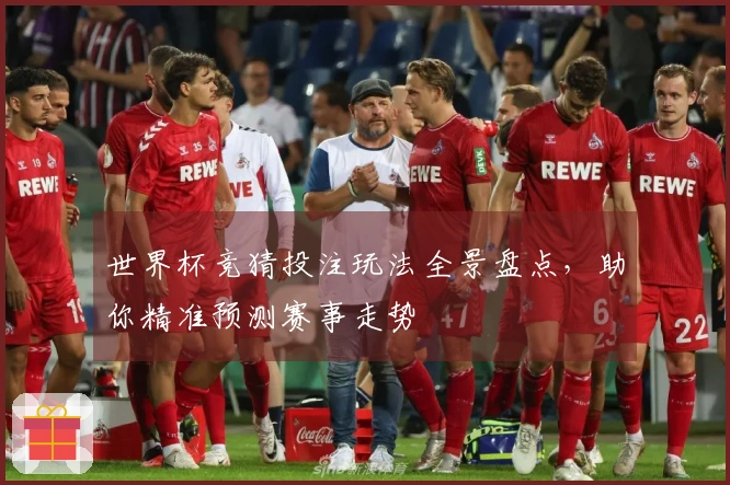 世界杯竞猜投注玩法全景盘点，助你精准预测赛事走势