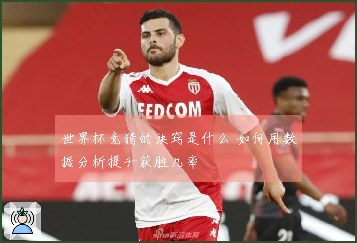 世界杯竞猜的诀窍是什么 如何用数据分析提升获胜几率