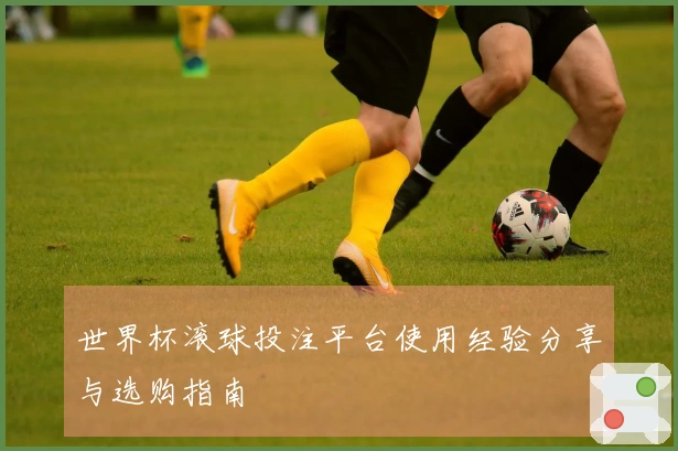世界杯滚球投注平台使用经验分享与选购指南