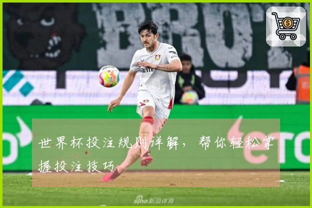 世界杯投注规则详解，帮你轻松掌握投注技巧